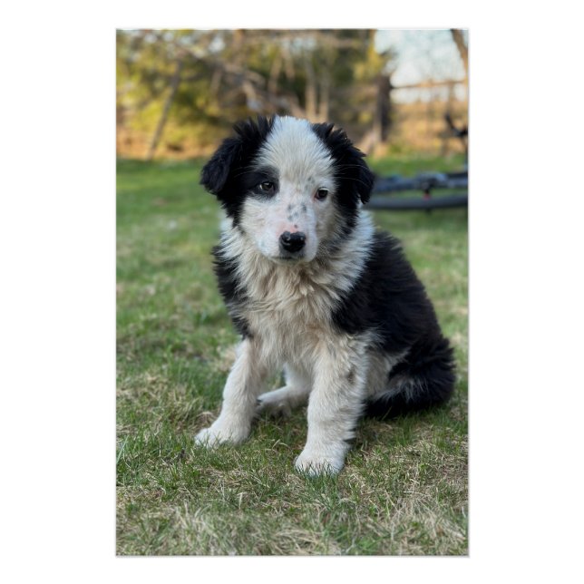 Póster Apertura (Anverso)