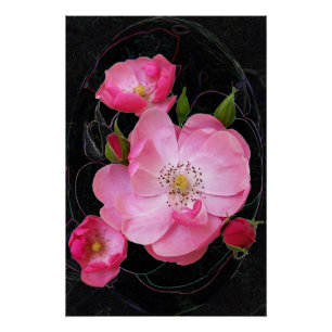 Póster apertura de rosebudo diminuto