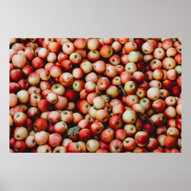 PÓSTER APLICACIONES GALA (Frente)