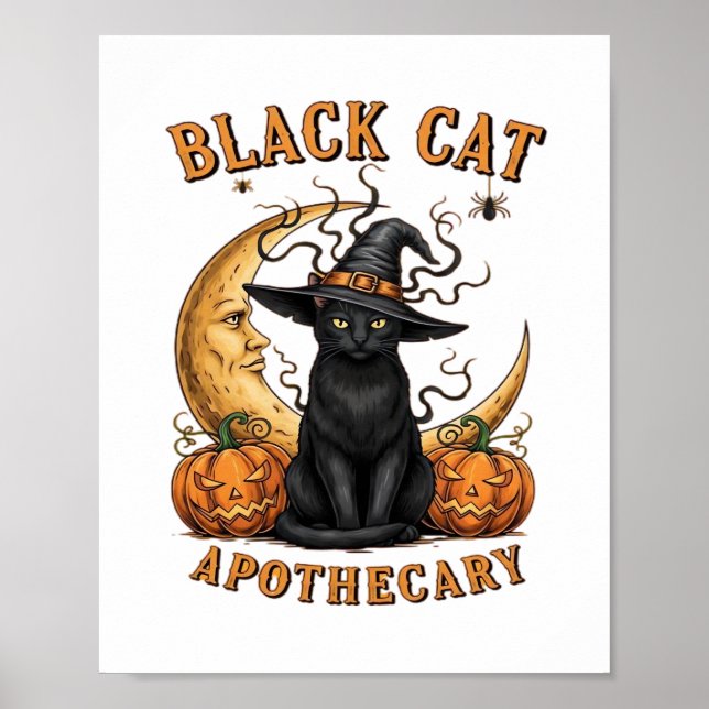 Póster Apothecary Black Cat - Luna y Pum de Brujas de Hal (Frente)