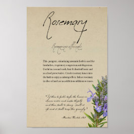 Póster Apothecary: Rosemary | Poster alto