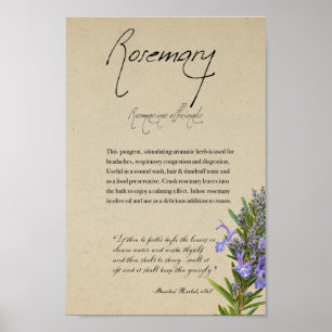Póster Apothecary: Rosemary Poster alto