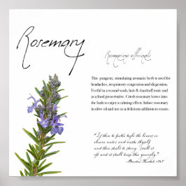 Póster Apothecary: Rosemary | Poster botánico