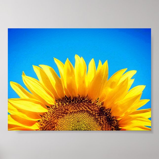 Póster Apoyar el girasol amarillo cielo azul de Ucrania (Frente)