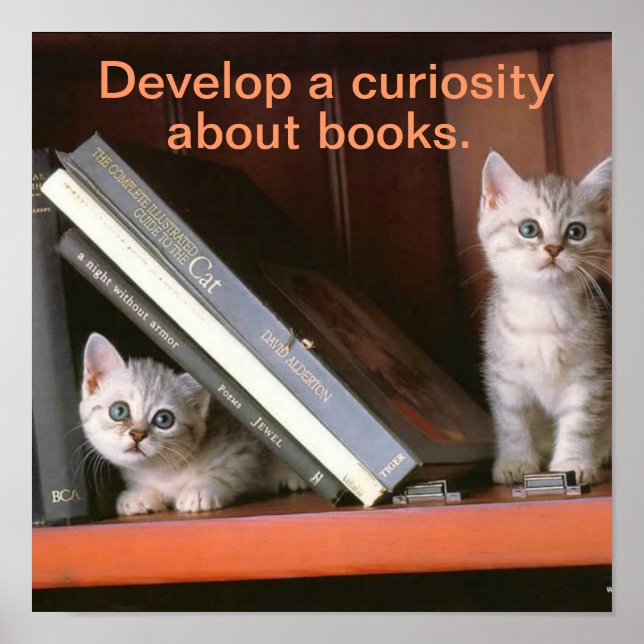 Póster Apoyo al Poster de alfabetización (Frente)