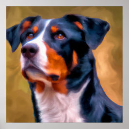 Póster Appenzeller Sennenhund - Retrato de perro