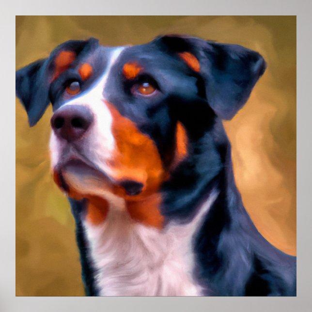 Póster Appenzeller Sennenhund - Retrato de perro (Frente)