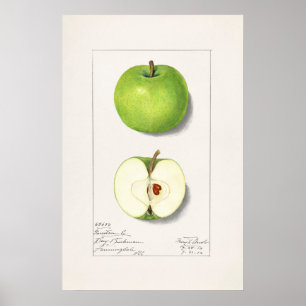 Póster Apple