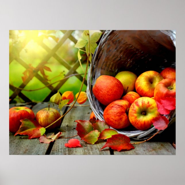 Póster Apple Harvest (Frente)