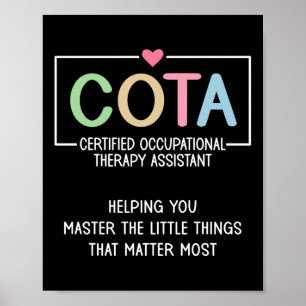 Póster Apreciación Cota Terapia Ocupacional Certificada I