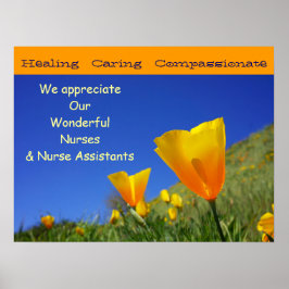Póster Apreciamos a un poster de Enfermería de enfermeras