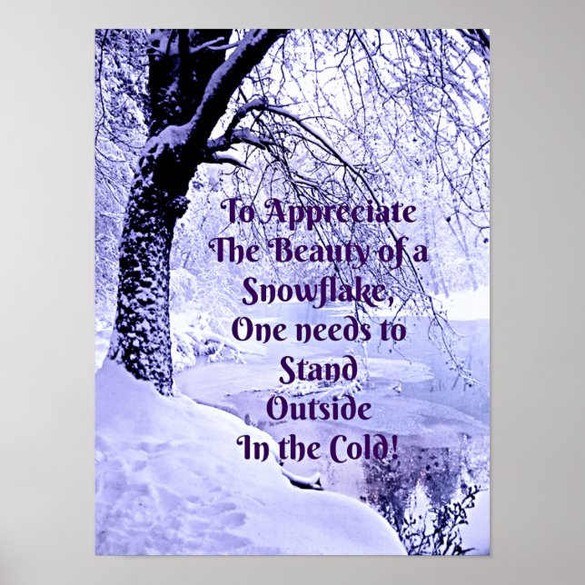 Póster Apreciar la belleza de un copo de nieve (Frente)