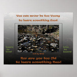 Póster Aprende a vivir para aprender 2