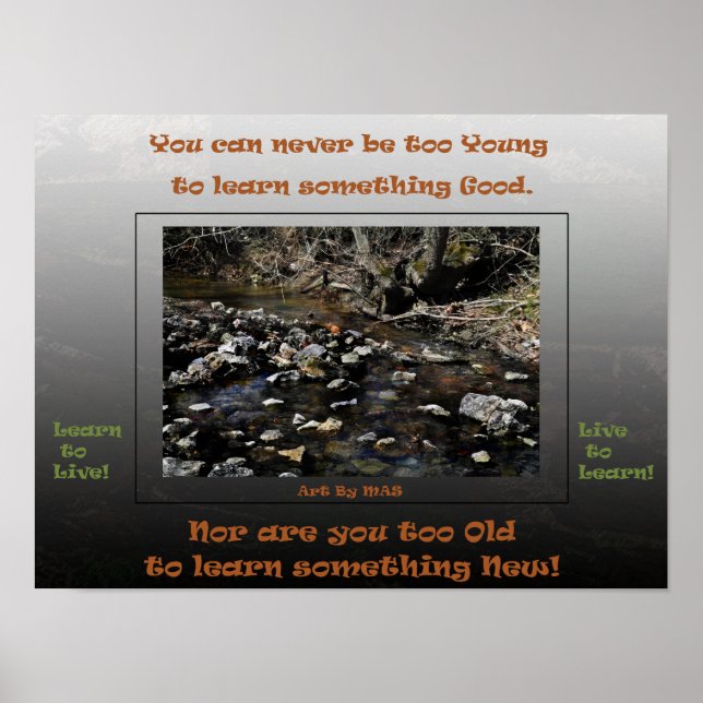 Póster Aprende a vivir para aprender 2 (Frente)