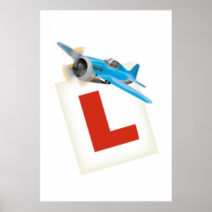 Póster Aprender a volar