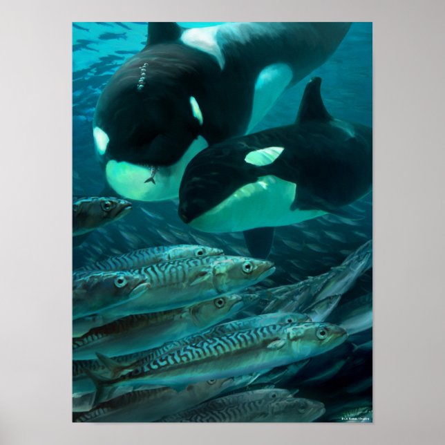 Póster Aprendiendo a cazar caballa (Frente)