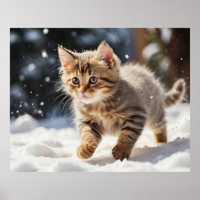 Póster *~* Aprendiendo sobre Snow Kitty 5:4 Kitten Cat AP (Frente)