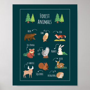 Póster Aprendizaje de la escuela de animales forestales