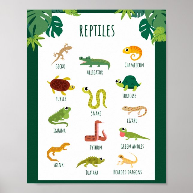 Póster Aprendizaje escolar de Reptiles (Frente)