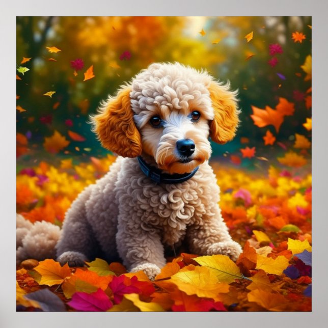 Póster Apricot Poodle Puppy en hojas otoñales (Frente)