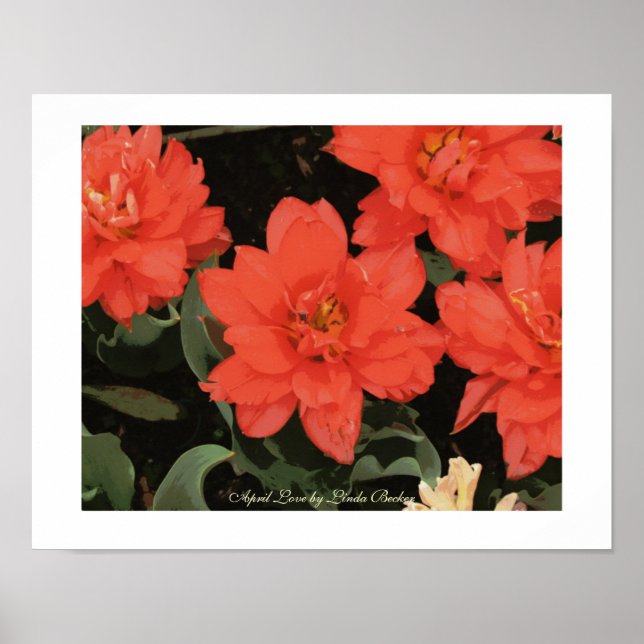 Póster April Love by Linda Becker (Frente)