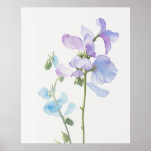 Póster April Sweet Pea Birth Flower
