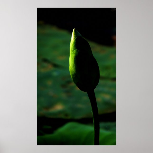 Póster Apto para la grandeza (Frente)