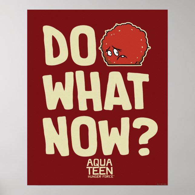 Póster Aqua Teen Hunger Force Meatwad "Do What Now?" (Frente)