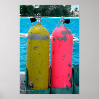 Póster Aqualungs