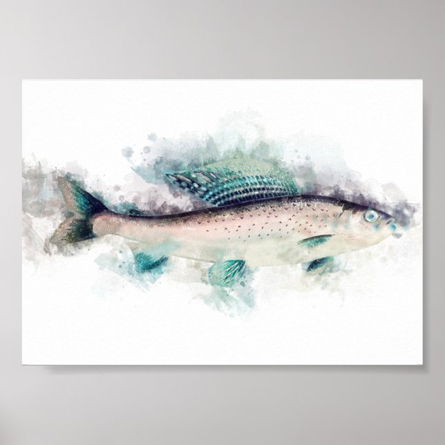 Póster Aquarelle Art Pescador Entusiastas de la Pesca de  (Frente)