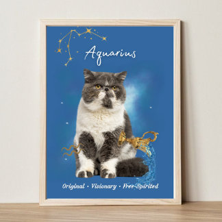 Póster Aquarius Cat Art Print, Zodiac Cat Poster