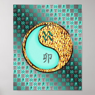 Póster Aquarius y Fire Rabbit