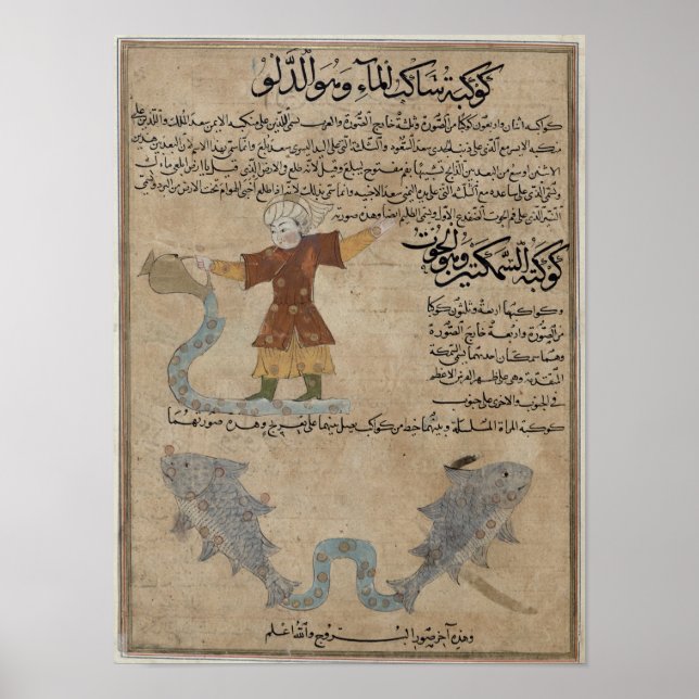 Póster Aquarius y Pisces (Frente)