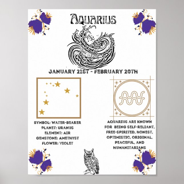 Póster Aquarius Zodiac Poster (Frente)