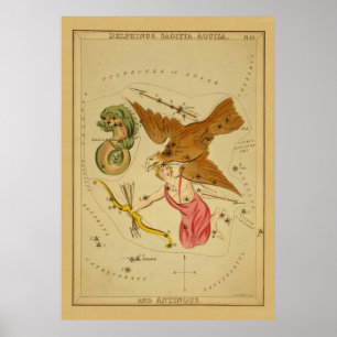 Póster Aquila el águila - Gráfico estelar astronómico vin