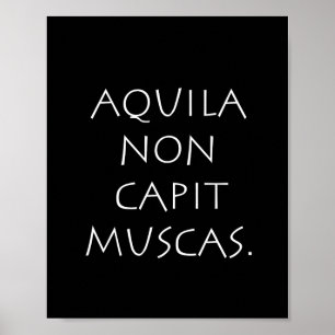 Póster Aquila non capit muscas