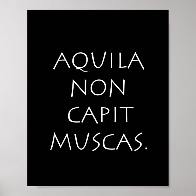 Póster Aquila non capit muscas (Frente)