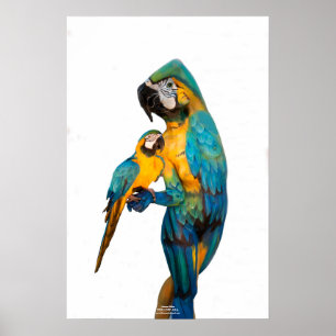 Póster Ara amarilla por Johannes Stötter