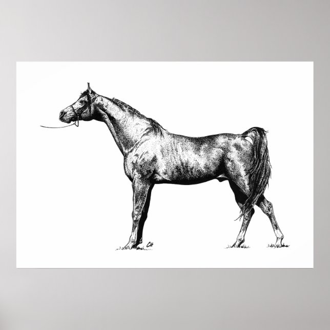 Póster Árabe en Pen & Ink (Frente)