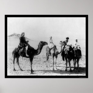 Póster Árabes en camellos en el desierto del Sahara 1914