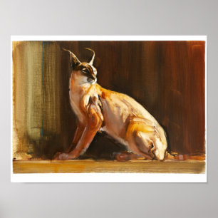 Póster Arabian Caracal 2010