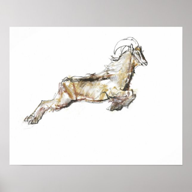 Póster Arabian Tahr 2009 (Frente)