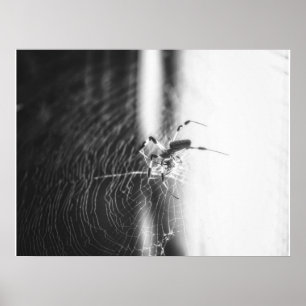 Póster Araña Cuta Tejidos Araña Lover Gift