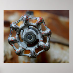 Póster Araña de agua