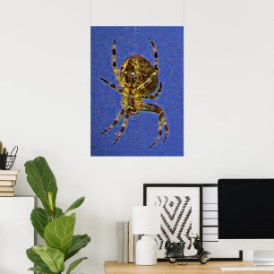 Póster Araña de orbe colorida