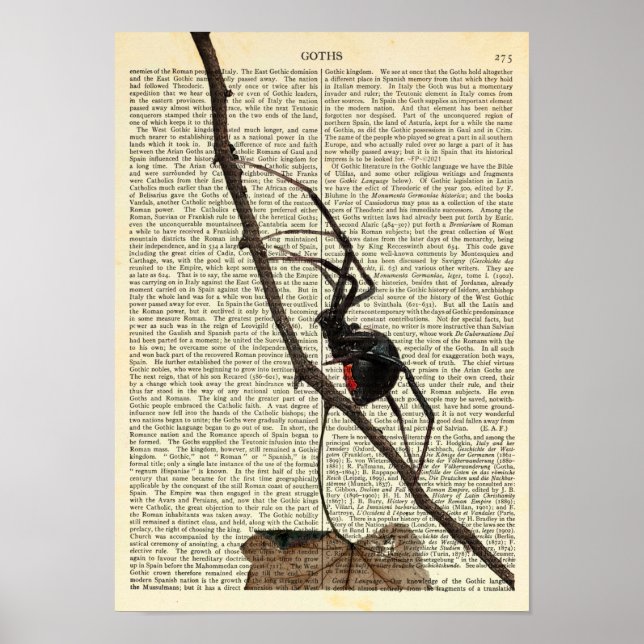 Póster Araña negra de viuda, gótica, naturaleza, aracnofo (Frente)
