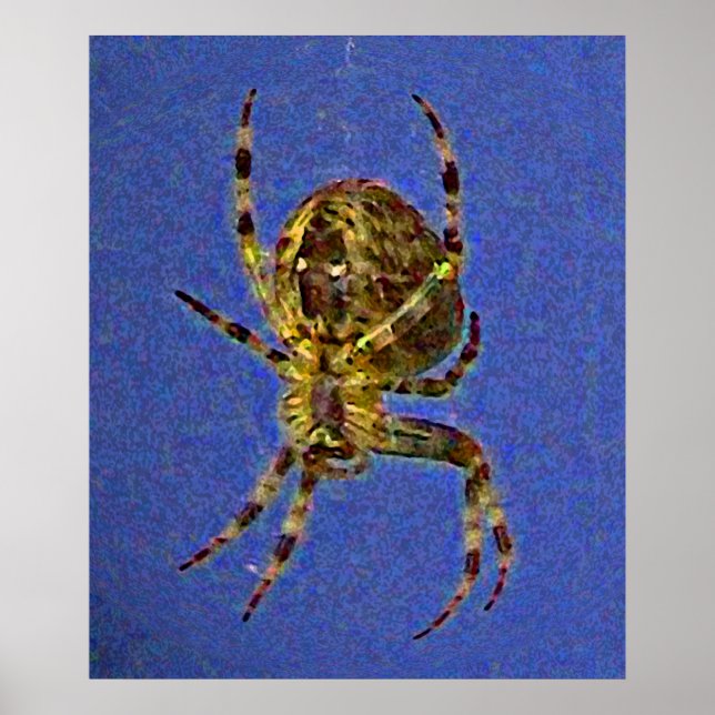 Póster Araña Orb colorida (Frente)