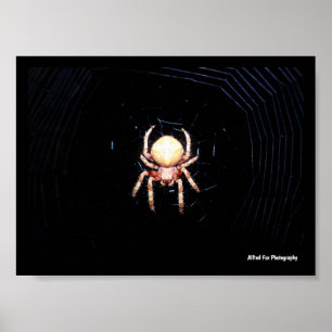 Póster Araña tejedora de ruedas naranja