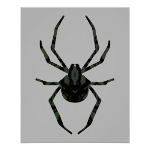 Póster Araña vieja y sencilla