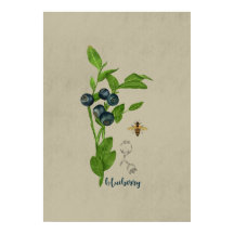 Arándano Botánico con Abeja y Flor